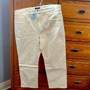 Ann Taylor size 16 petite new with tags; cream jeans